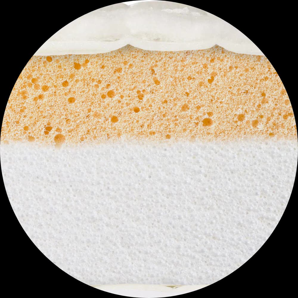 The Oysterwood Adjustable Bed Oak Tree Mobility