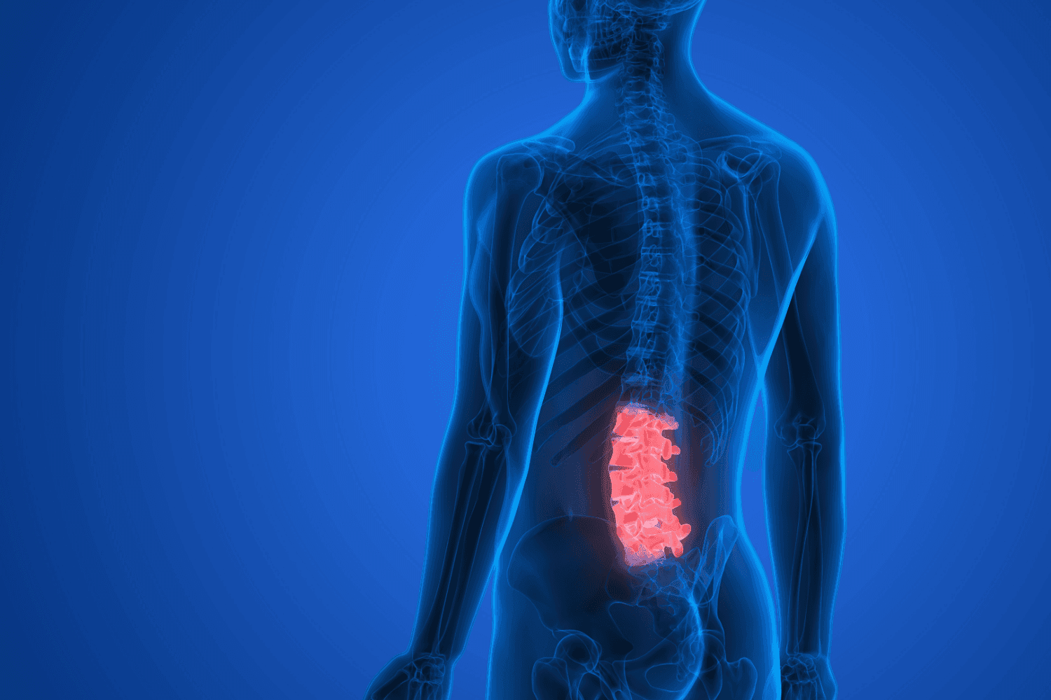 X-Ray highlighting lumbar region