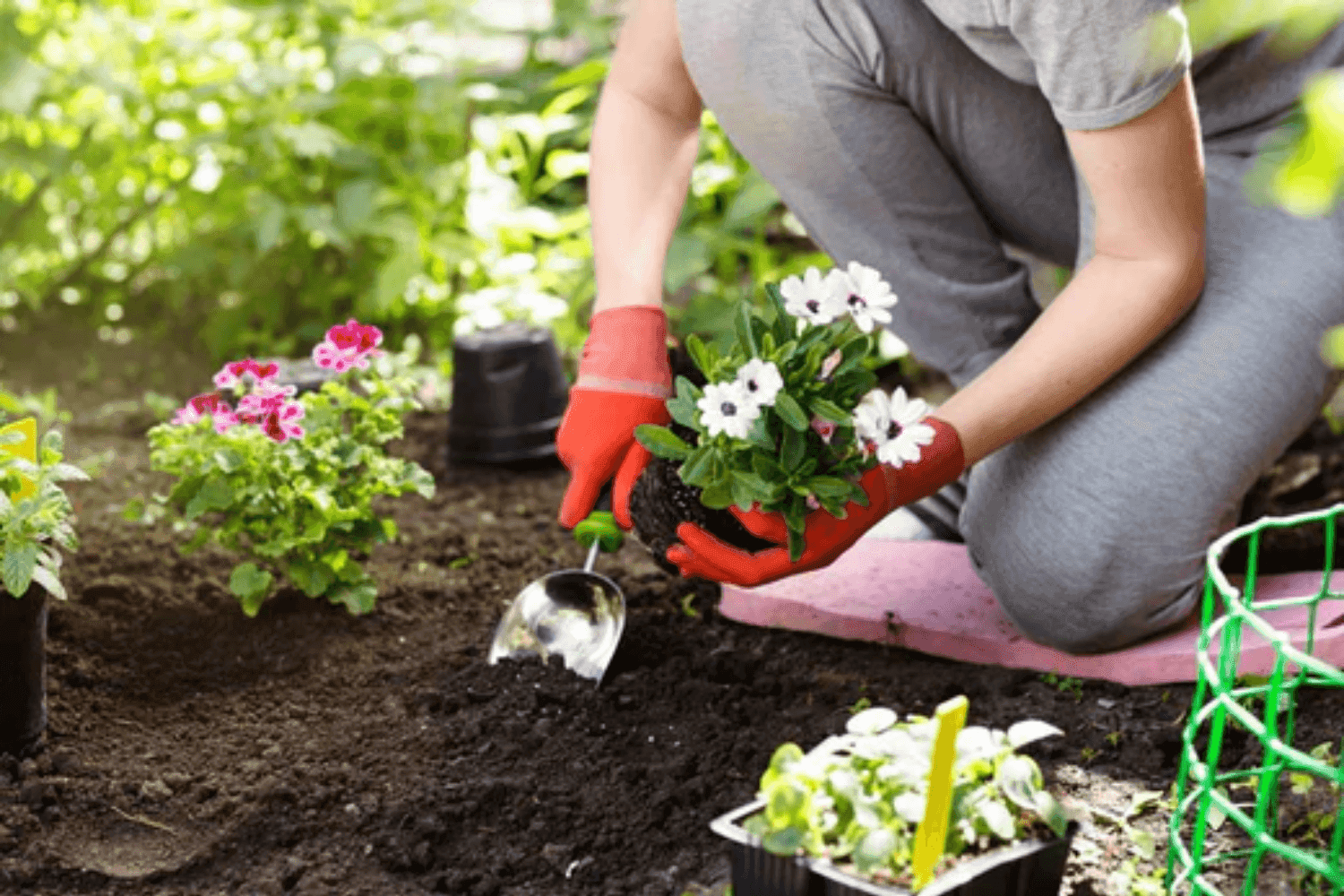 Gardening