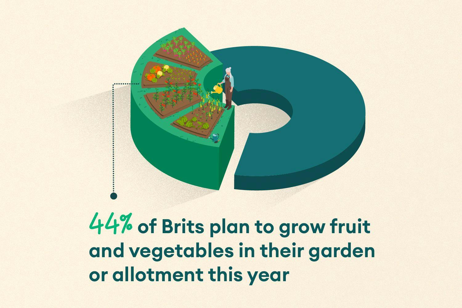 44% of Brits plan to grow fruit and veg in their garden or allotment this year