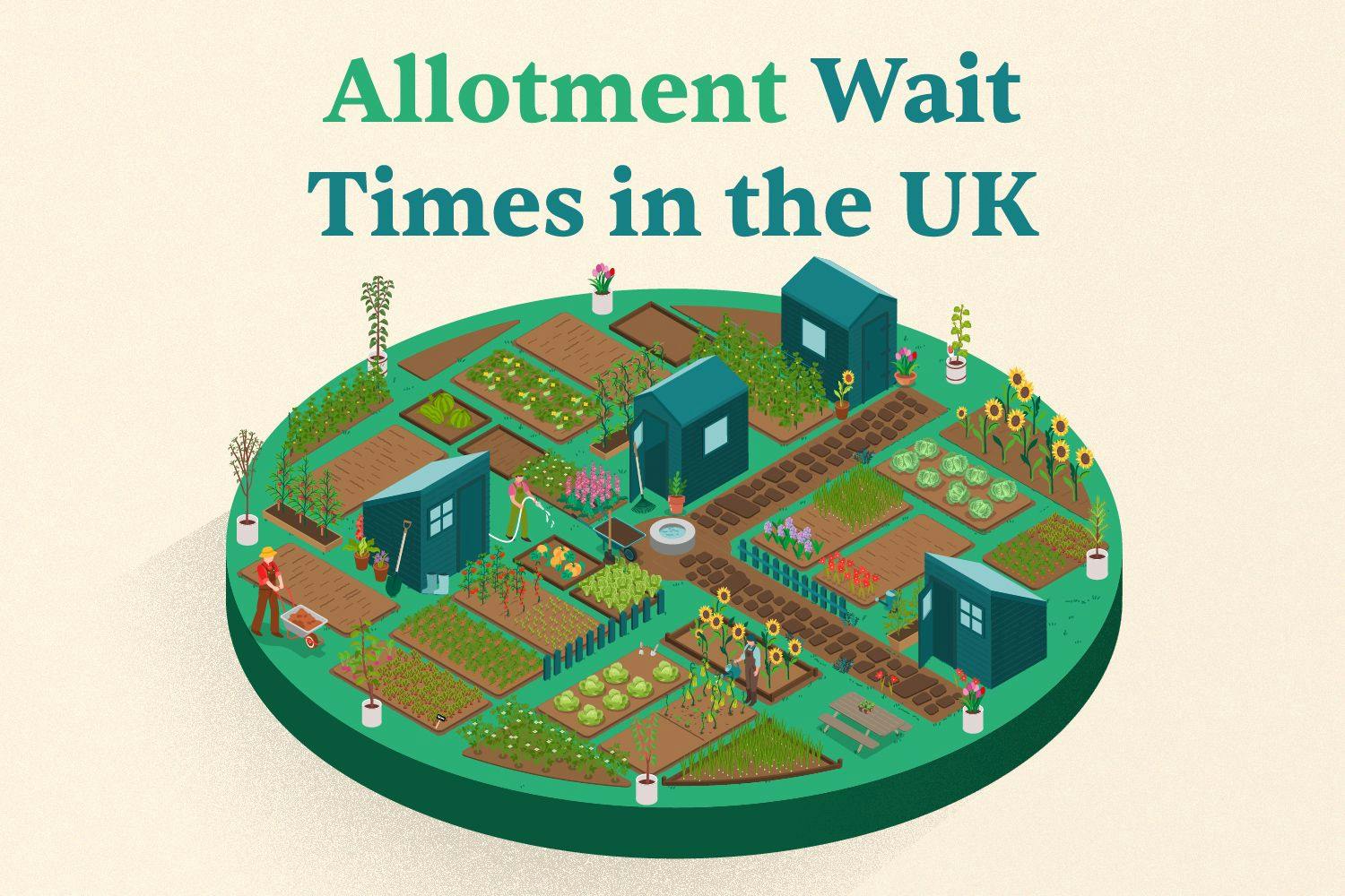 allotment waiting times in the UK with a graphic of an allotment in the shape of a clock