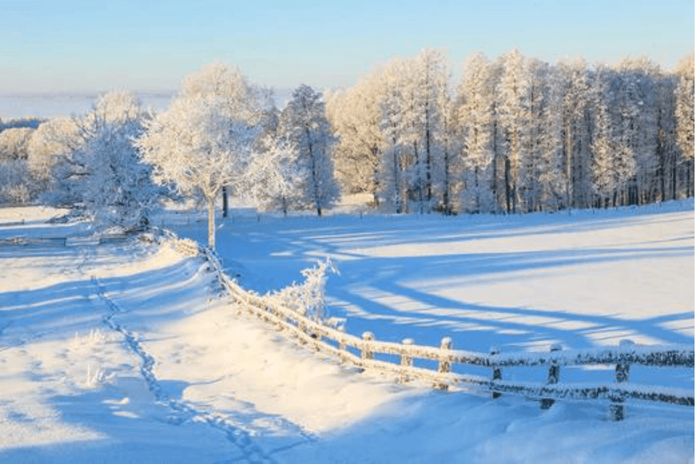 Snow covered road
